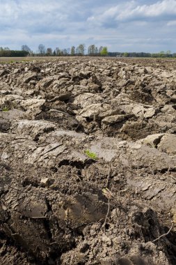 Tarım peyzaj, sürülmüş rolü, ufukta bulutlar.
