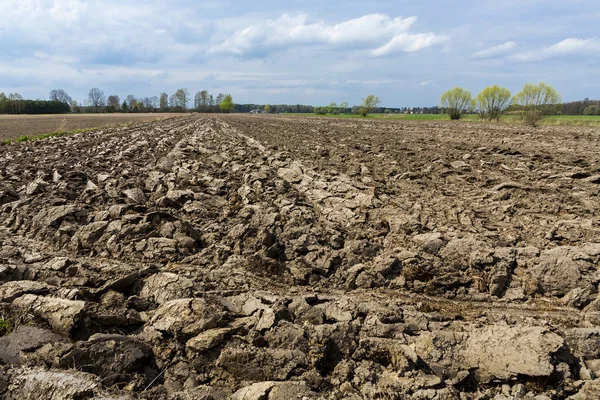 Tarım peyzaj, sürülmüş rolü, ufukta bulutlar.