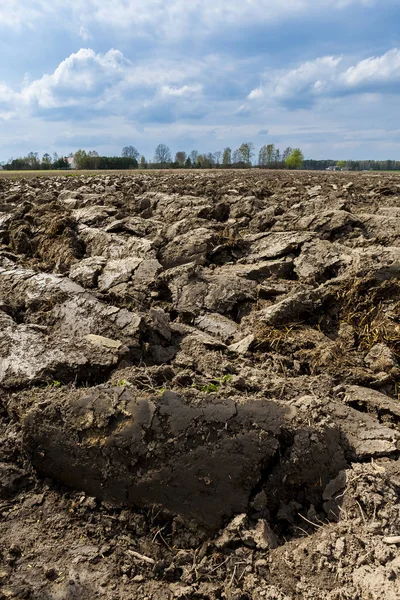 Agricultural Landscape Plowed Role Clouds Horizon — Stock Photo, Image