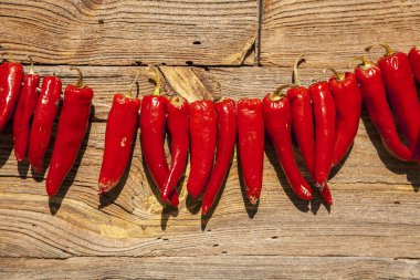 Güneşte kurutma biber.