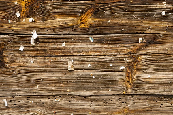 Wood grain background texture plank, old striped timber board. — Stock Photo, Image