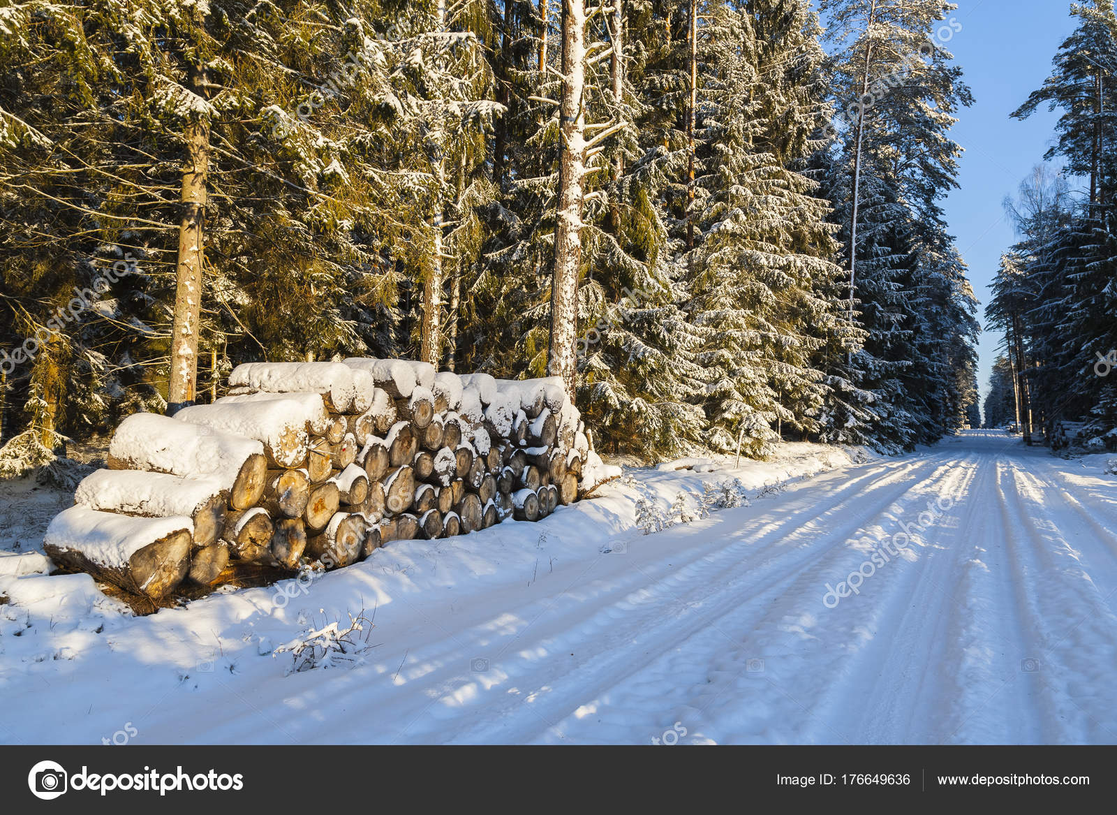 Paisaje Invernal Hermoso Bosque Con Abrigo Invernal Árboles Cubiertos