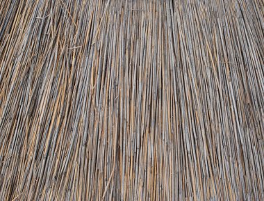 Arka plan thatched çatı, kuru ot ve saman. Kurutulmuş çim dokusu