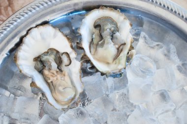 Taze istiridye yalan üzerine bir buz tepsisi