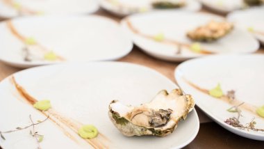 Beyaz bir plaka üzerinde bir ızgara yalan üzerinde istiridye pişmiş