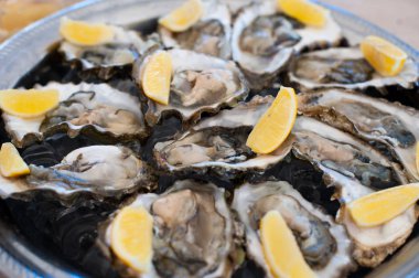 Taze istiridye buz ve limon bir tepsi üzerinde yalan