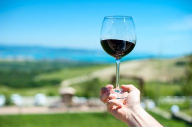 Bir dağ manzarası ile bir arka plan üzerinde kırmızı şarap bir bardak