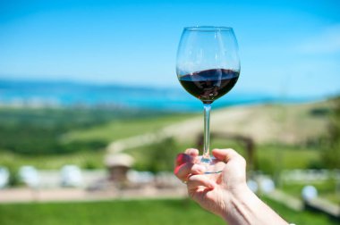 Bir dağ manzarası ile bir arka plan üzerinde kırmızı şarap bir bardak