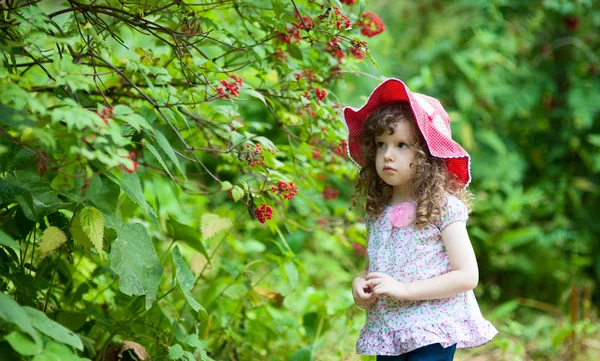 Menina encaracolado de três anos em chapéu vermelho andando no parque de verão — Fotografia de Stock