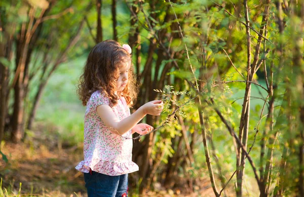 Tre-åriga curly flicka i röd hatt promenader i sommaren park — Stockfoto