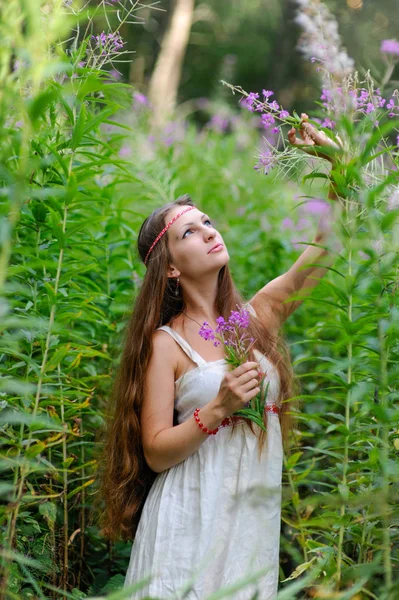 Uma menina eslava bonita nova com cabelo longo e um vestido étnico eslavo está entre o undergrowth alto na floresta do verão e prende uma flor em suas mãos — Fotografia de Stock