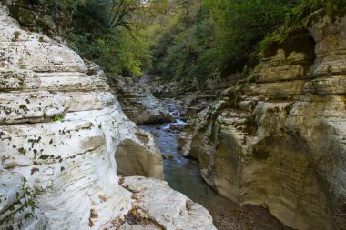 Soçi 'deki Hosta Nehri Kanyonu
