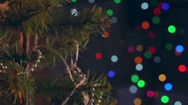 Uma Mulher Está Pendurando Decoração Natal Folha Ramo Árvore Natal — Vídeo de Stock