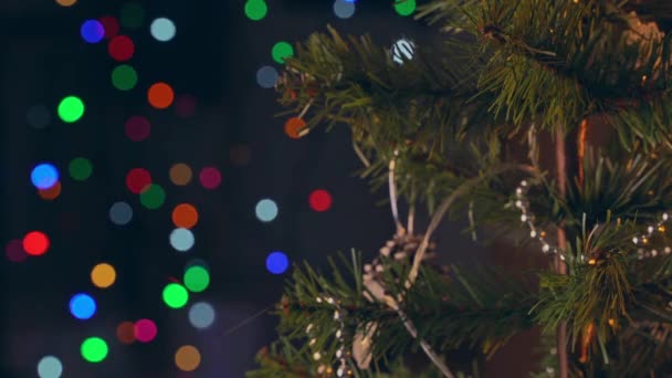 女性は 暗い黒の背景に輝く文字列Ledランプで ショットを閉じ クリスマスツリーの枝の葉の上にクリスマスの装飾をぶら下げている — ストック動画