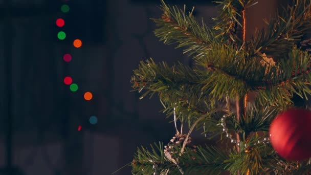 Woman Hanging Christmas Decoration Christmas Tree Branch Leaf Close Shot — Stock Video