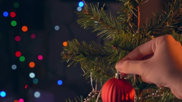Kvinna Hänger Jul Dekoration Julgran Gren Löv Närbild Skott Med — Stockvideo