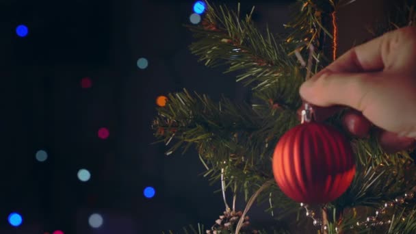 Ein Mädchen Hängt Beim Dekorieren Von Weihnachtsschmuck Weihnachtsbaum Nahaufnahme Mit — Stockvideo