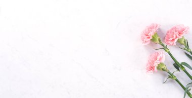 Güzel, zarif pembe karanfil çiçeği parlak beyaz mermer masa zemininde, Anneler Günü çiçek konsepti, üst manzara, düz yatış, genel görünüş