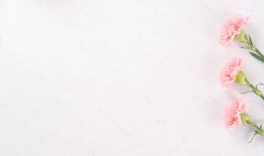 Güzel, zarif pembe karanfil çiçeği parlak beyaz mermer masa zemininde, Anneler Günü çiçek konsepti, üst manzara, düz yatış, genel görünüş