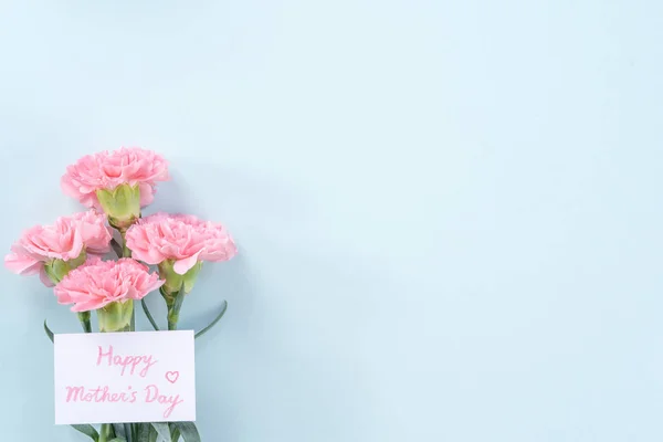 Beautiful, elegant pink carnation flower over bright light blue table background, concept of Mother's Day flower gift, top view, flat lay, overhead — Stock Photo, Image