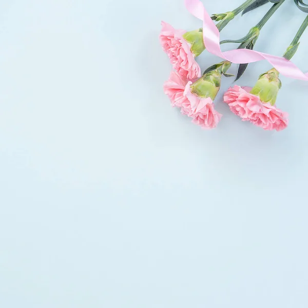 Hermosa, elegante flor de clavel rosa sobre fondo de tabla azul claro brillante, concepto de regalo de flor del día de la madre, vista superior, posición plana, gastos generales — Foto de Stock