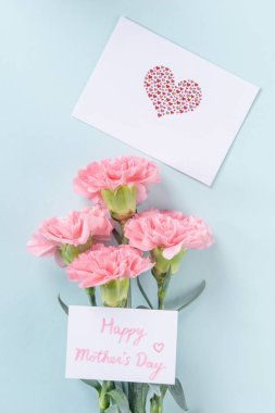 Güzel, zarif pembe karanfil çiçeği açık mavi masa arkaplanı üzerinde, Anneler Günü çiçek konsepti, üst manzara, düz yer, genel giderler.