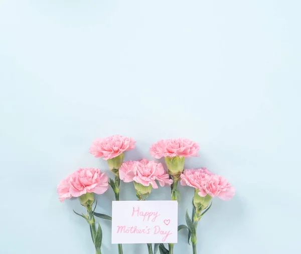 Güzel, zarif pembe karanfil çiçeği açık mavi masa arkaplanı üzerinde, Anneler Günü çiçek konsepti, üst manzara, düz yer, genel giderler. — Stok fotoğraf
