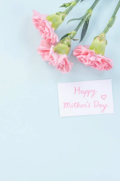 Piękny, elegancki różowy kwiat goździka nad jasnoniebieskim tle tabeli, koncepcja Dzień Matki kwiat prezent, widok z góry, płaski leżak, nad głową — Zdjęcie stockowe