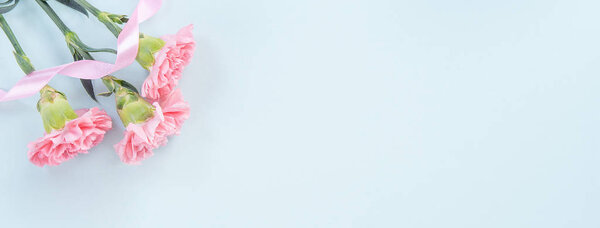 Beautiful, elegant pink carnation flower over bright light blue table background, concept of Mother 's Day flower gift, top view, flat lay, overhead
