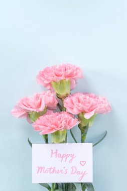 Güzel, zarif pembe karanfil çiçeği açık mavi masa arkaplanı üzerinde, Anneler Günü çiçek konsepti, üst manzara, düz yer, genel giderler.