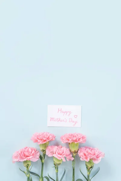 Güzel, zarif pembe karanfil çiçeği açık mavi masa arkaplanı üzerinde, Anneler Günü çiçek konsepti, üst manzara, düz yer, genel giderler. — Stok fotoğraf