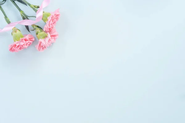Hermosa, elegante flor de clavel rosa sobre fondo de tabla azul claro brillante, concepto de regalo de flor del día de la madre, vista superior, posición plana, gastos generales — Foto de Stock