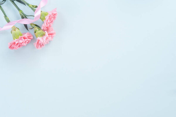 Beautiful, elegant pink carnation flower over bright light blue table background, concept of Mother 's Day flower gift, top view, flat lay, overhead
