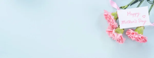 Linda, elegante flor de cravo rosa sobre fundo de mesa azul claro brilhante, conceito de presente de flor do Dia das Mães, vista superior, flat lay, sobrecarga — Fotografia de Stock