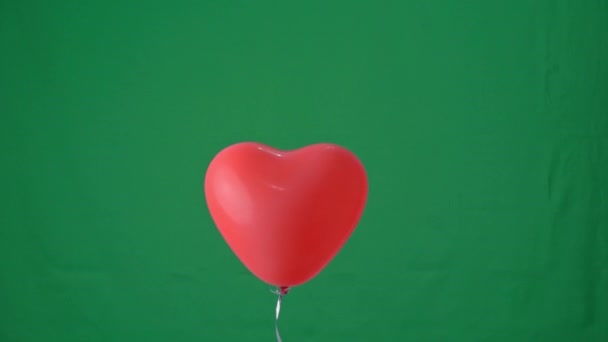 緑の画面の背景に隔離された赤いハート型のヘリウム気球 バレンタインデー 誕生日パーティーのデザインコンセプト スタジオショット スローモーション — ストック動画
