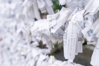 Saga, Japonya - 12 Kasım 2018: Japon fal kağıtları (Omikuji) geleneksel tapınakta halat tellerine (Omikuji kake) bağlanmış ve katlanmış..