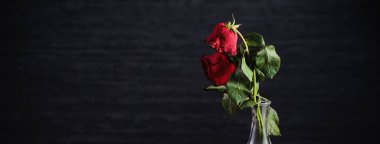 Koyu gri arka planda solmuş gül ve yaprakları dökülen ahşap masa, üzgün sevgililer günü romantizmi tasarım konsepti, kopyalanmış, uzay, kopyalama.
