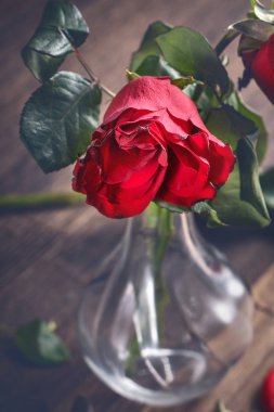 Koyu gri arka planda solmuş gül ve yaprakları dökülen ahşap masa, üzgün sevgililer günü romantizmi tasarım konsepti, kopyalanmış, uzay, kopyalama.