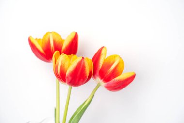 Lale çiçeği cam vazoda resim çerçeveli beyaz ahşap masa zemininde, evdeki temiz duvara karşı, kapak, Anneler Günü dekor konsepti..