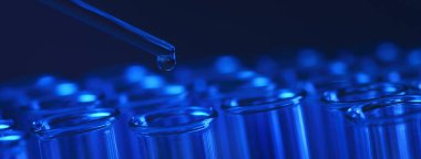 Test tüpü sırası. Tıbbi ya da bilim laboratuarı kavramı, mavi tonlu damlacıklı sıvı damlası, yakın plan, mikro fotoğrafçılık resmi.