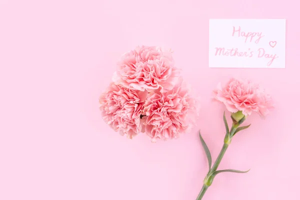 Mother Day Design Concept Pink Carnations Pale Pink Background Gratitude — Stock Photo, Image