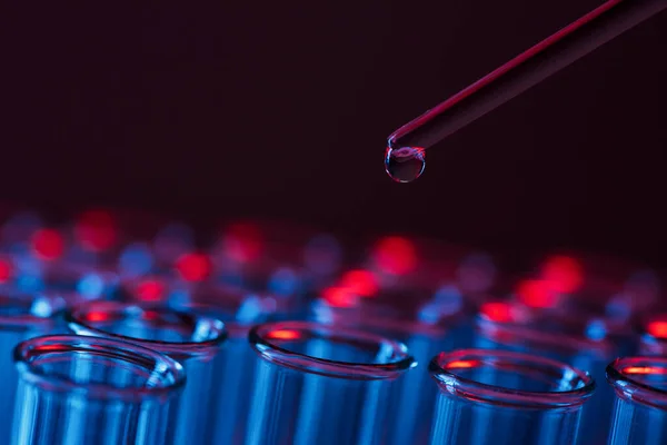 Test tube row. Concept of medical or science laboratory, liquid drop droplet with dropper in blue tone background, close up, micro photography picture.