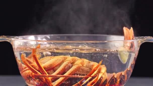 Plan Temporel Cuisson Ébullition Homard Cape Rock Frais Cru Homard — Video