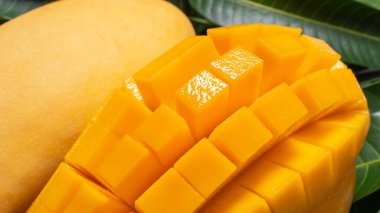 Mango, tropikal meyve, yeşil yaprak arka planında bambu ahşap elek sepeti, üst görünüm, tam çerçeve, güzel, olgun hasat tasarımı konsepti.