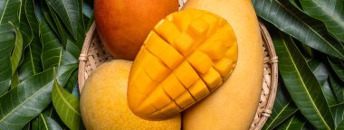 Mango, tropikal meyve, yeşil yaprak arka planında bambu ahşap elek sepeti, üst görünüm, tam çerçeve, güzel, olgun hasat tasarımı konsepti.