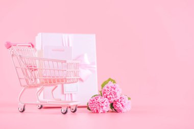 Anneler Günü hediye tasarımı, paketli pembe karanfil çiçeği buketi, alışveriş arabası, çanta, açık pembe arka planda izole edilmiş, kopyalama alanı..