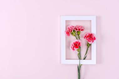 Anneler Günü, Sevgililer Günü arkaplan tasarımı, pembe masadaki güzel pembe karanfil çiçeği buketi, üst manzara, düz alan, kopyalama.