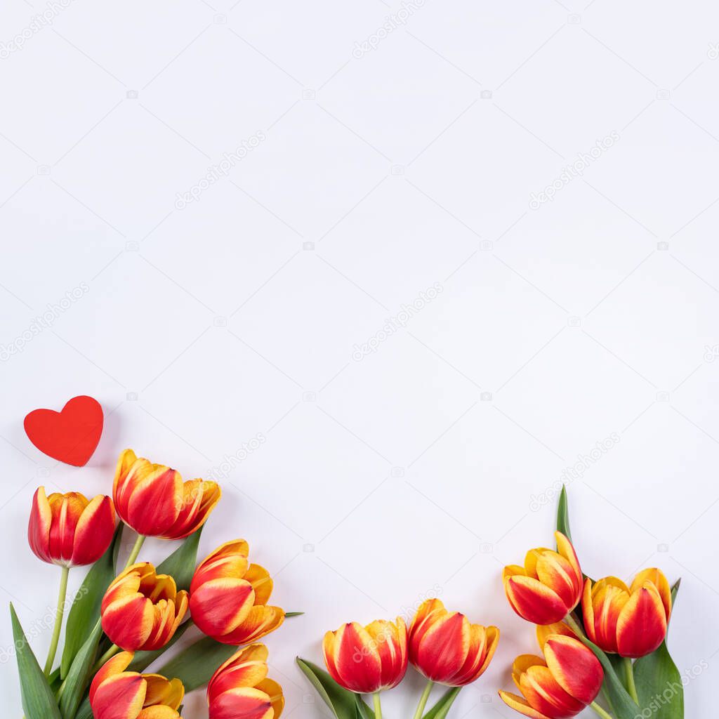Mother's Day, Valentine's Day background, tulip flower bunch - Beautiful Red, yellow bouquet isolated on white table, top view, flat lay, mock up design concept.
