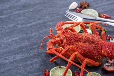 Pişmiş ıstakoz, lezzetli deniz ürünleri seti siyah taş kaplama arka planda bıçak ve çatalla, restoran menüsü tasarımı, kapat, üstte