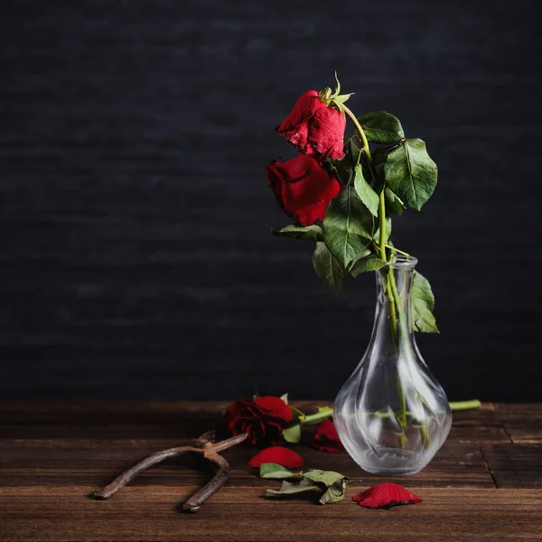 Rose Fletrie Sur Fond Gris Fonce Et Table En Bois Avec Petales Et Feuilles D Automne Concept Design De Triste Romance Saint Valentin Rompu Copie Espace Verre Panneau Stock Photo Rose Fletrie Sur Fond Gris Fonce Et Table En Bois Avec Petales Et Feuilles D Automne Concept Design De Triste Romance Saint Valentin Rompu Copie Espace Verre Panneau Stock Photo
